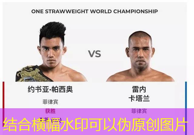 bets sports bets sports