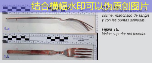 com força não beto com força não beto